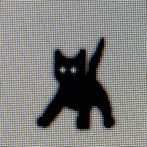 Meet your Posher, Jack